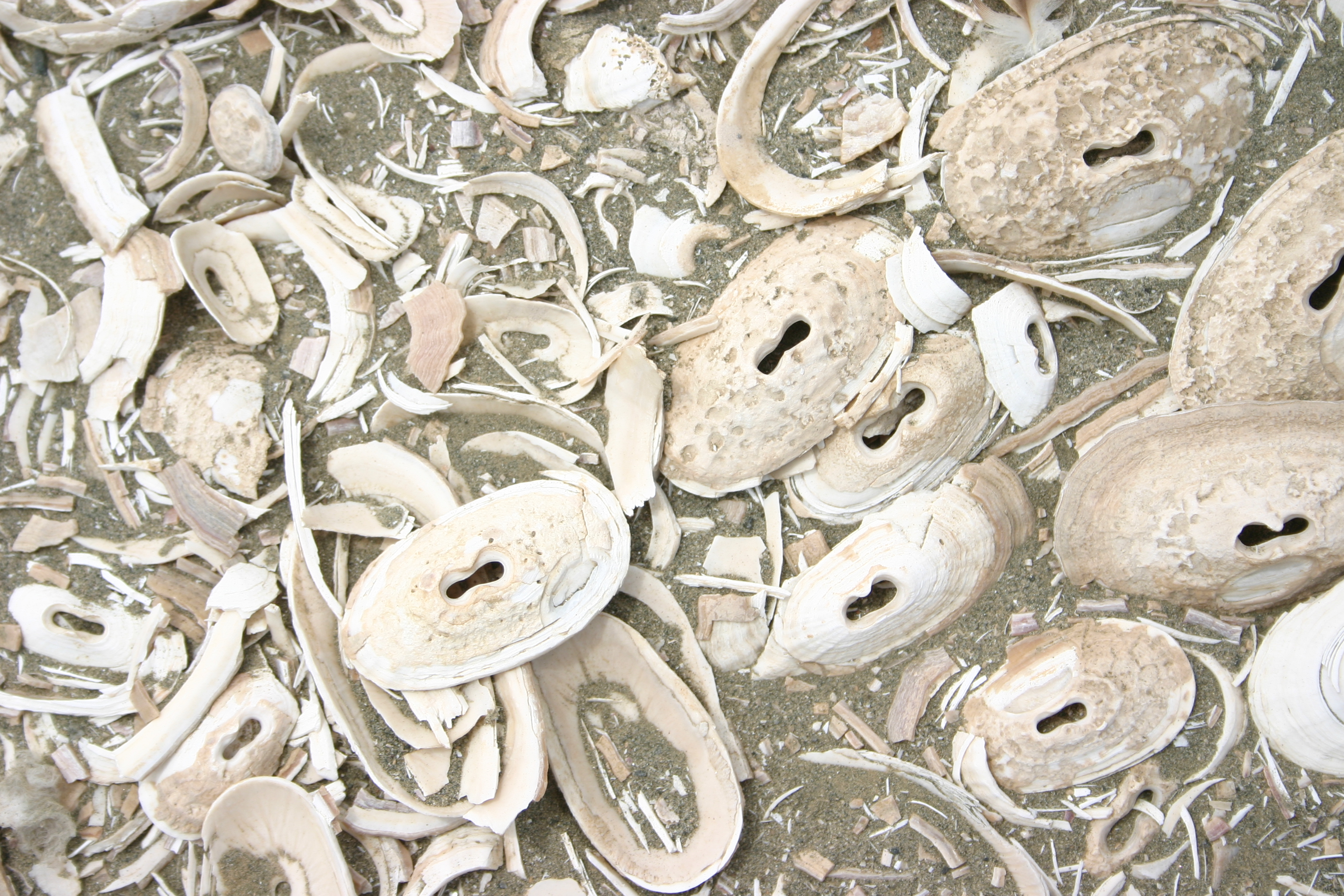 morro moreno 178.JPG